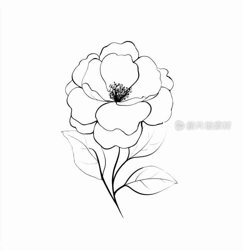 黑白线条勾勒的花朵插画