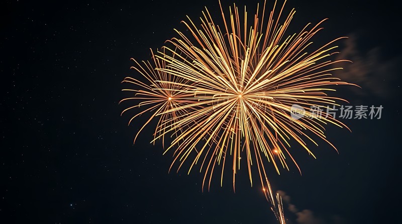 夜空烟花绽放