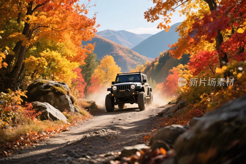 秋日山林中行驶的越野汽车