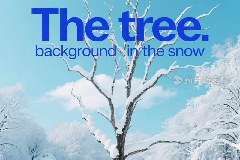 雪地树背景