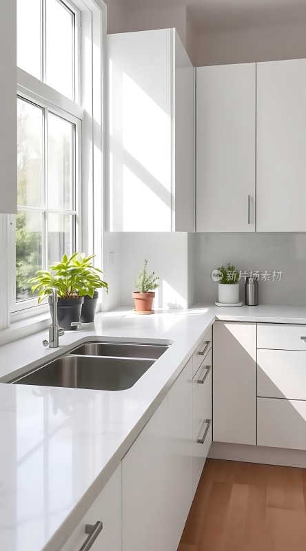 阳光厨房绿意盎然