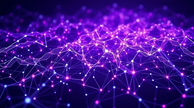 紫色科技网络世界