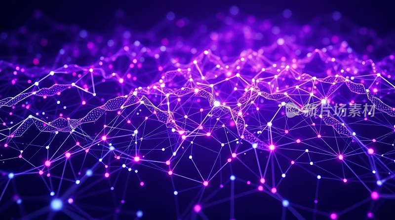 紫色科技网络世界
