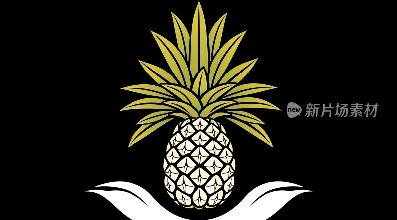 新片场素材金菠萝