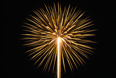 黑色背景的黑暗天空点燃烟花高清图片 黑色背景的黑暗天空点燃烟花高清图片