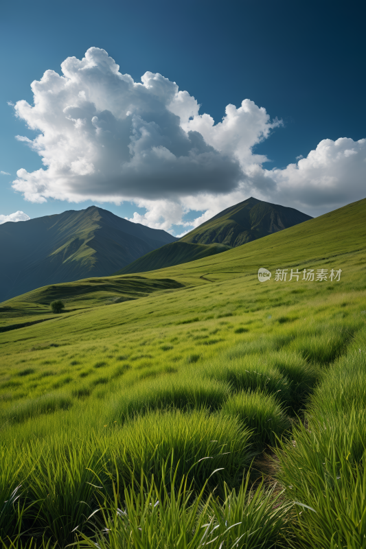 蓝天白天草原草地风景自然风光图片