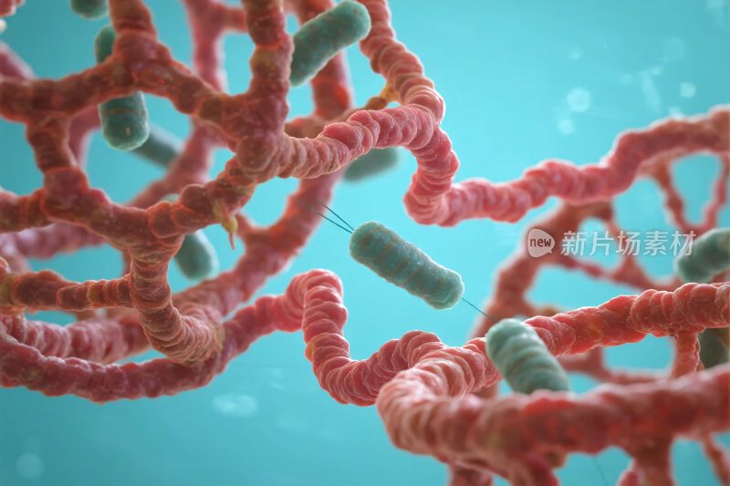 科学微生物与结构