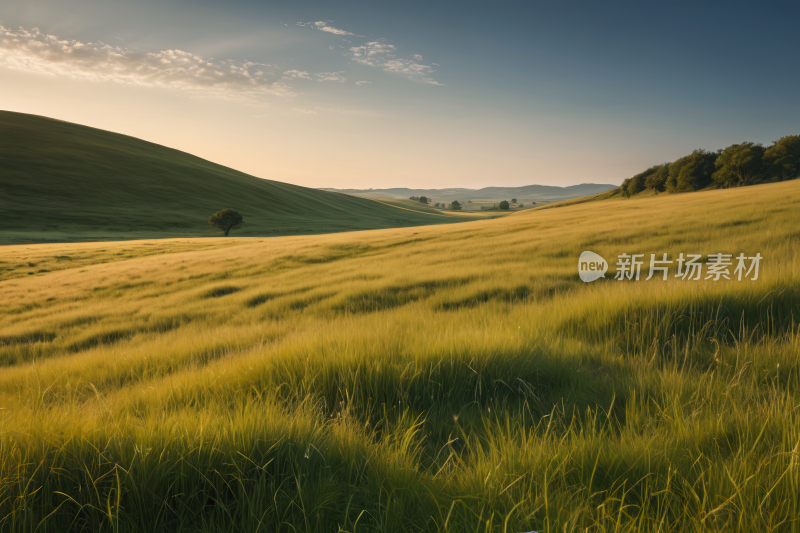 草地一棵孤树一座小高山清风景图片