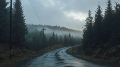 森林中的公路