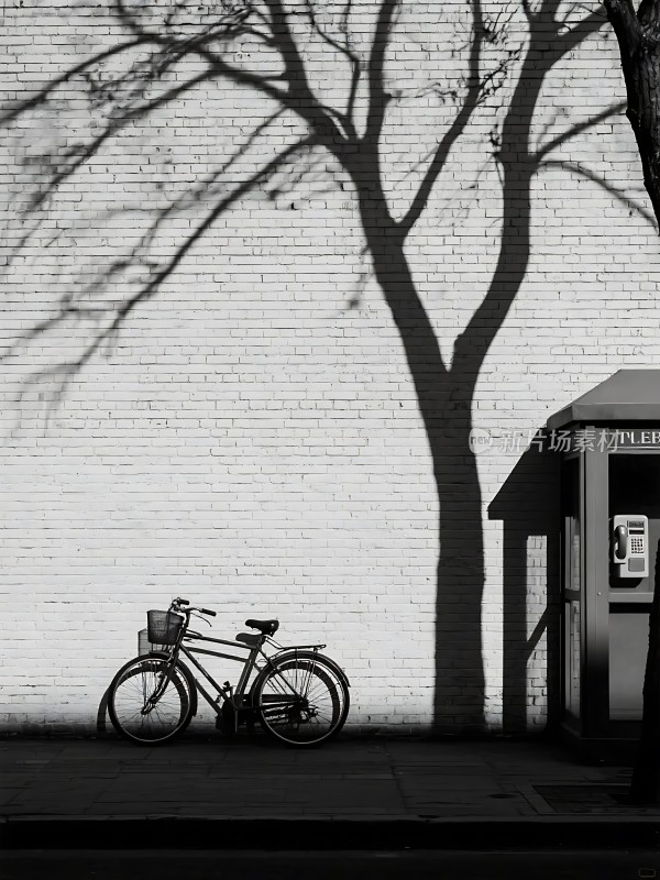 树影斑驳下的旧时光