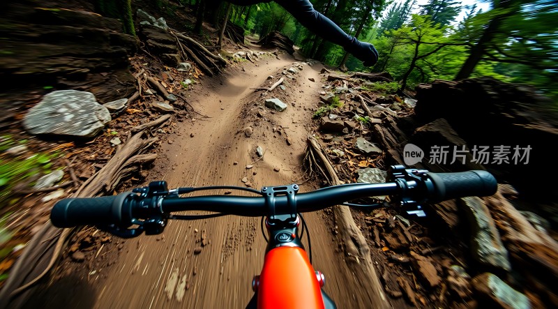 骑行者的视角穿越森林小径的冒险之旅