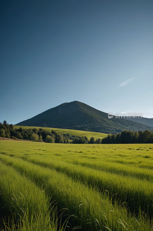 草地一座高山清图片