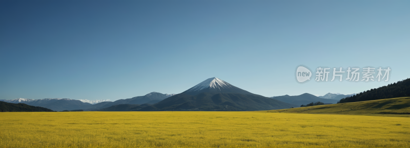 一大片黄草地高山清风景横幅图片