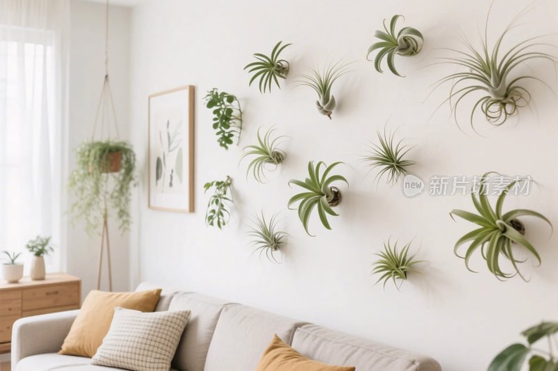 室内墙面植物装饰