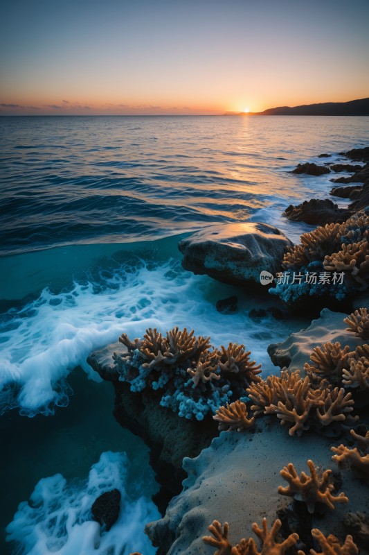 一大片水域上面一群珊瑚高清风景图片