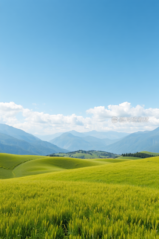 草地群山环抱背景图片