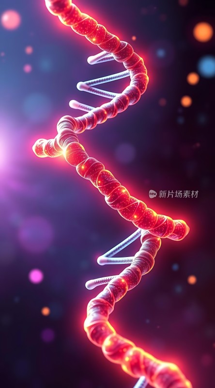 DNA螺旋结构之美