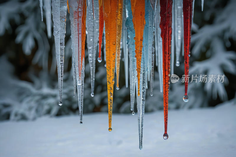 冰柱悬挂在雪地里的一棵树上纹理背景图片