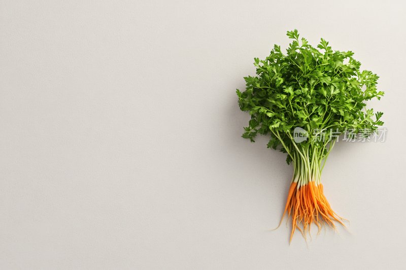 一束新鲜的胡萝卜与绿叶