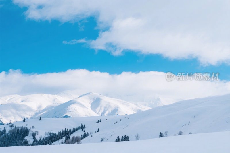 雪山雪景美景图