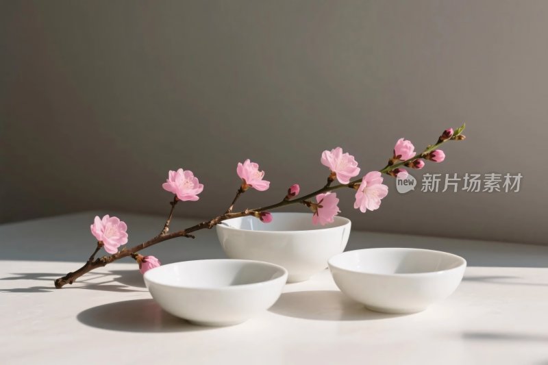 粉色花枝配瓷碗静物