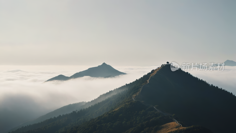 一座山有几棵树高清风景图片