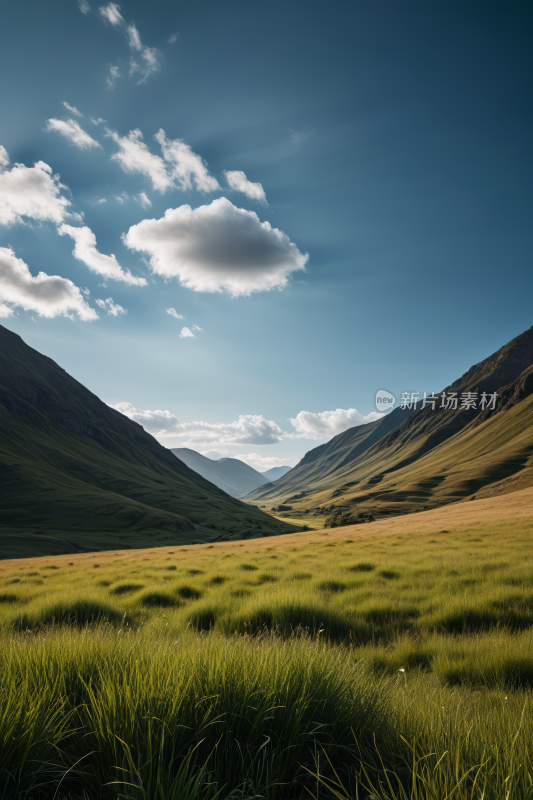 蓝天白天草原草地风景自然风光图片