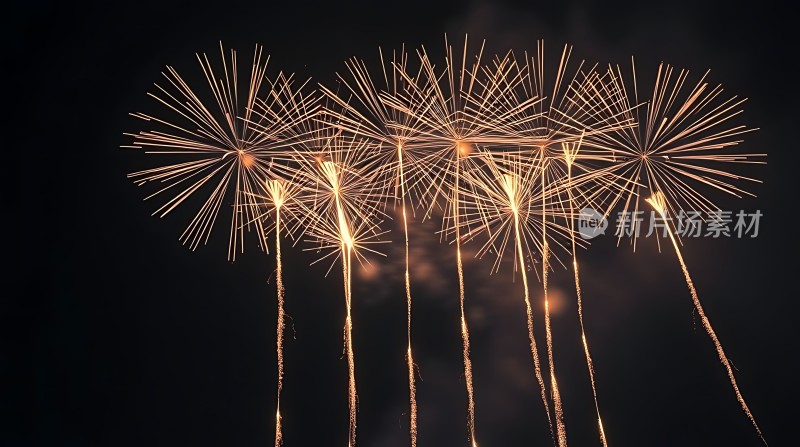 夜空烟花绽放璀璨夺目