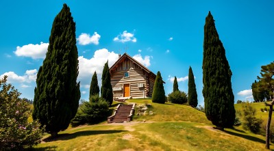 蓝天下的木屋与高大的树木 蓝天下的木屋与高大的树木
