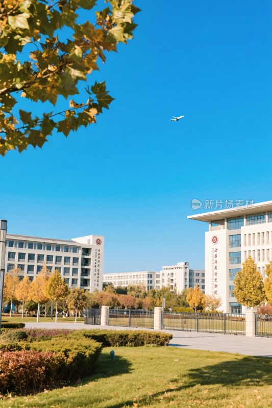 校园秋日风景图