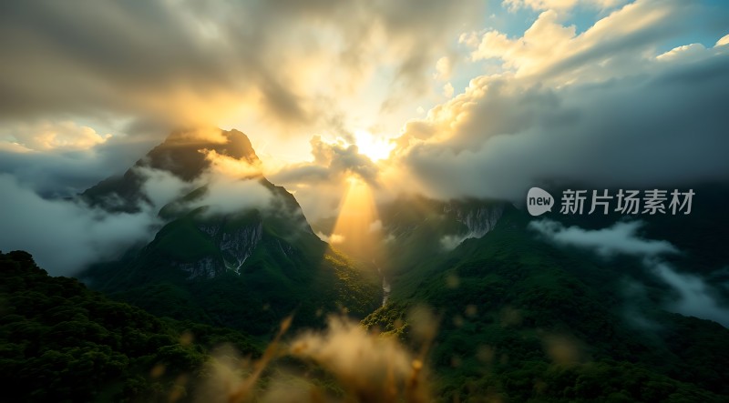 晨曦中的云雾山峦