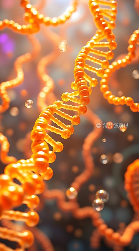 DNA螺旋结构之美