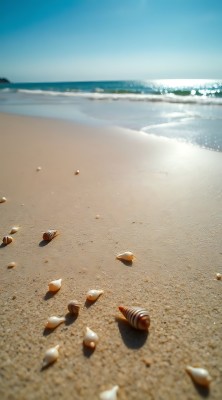 阳光下的贝壳沙滩