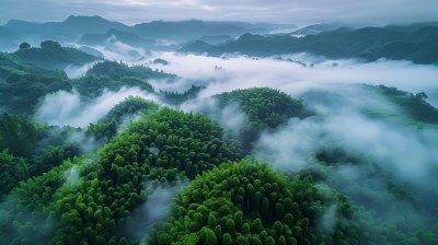 桂林山水甲天下