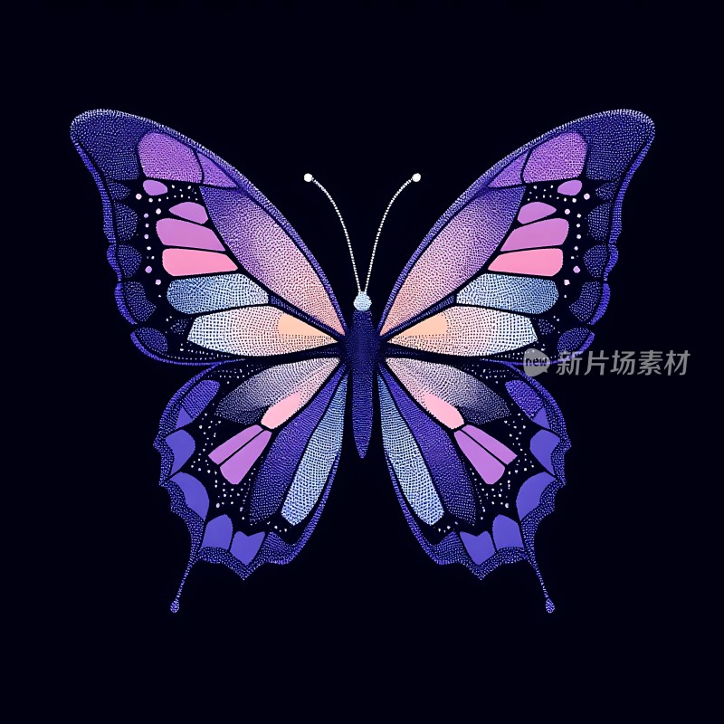 紫色蝴蝶翅膀上的色彩斑斓