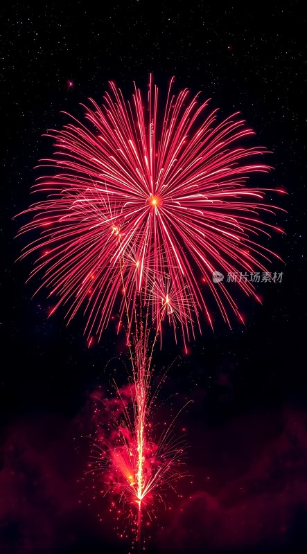 璀璨烟花绽放夜空