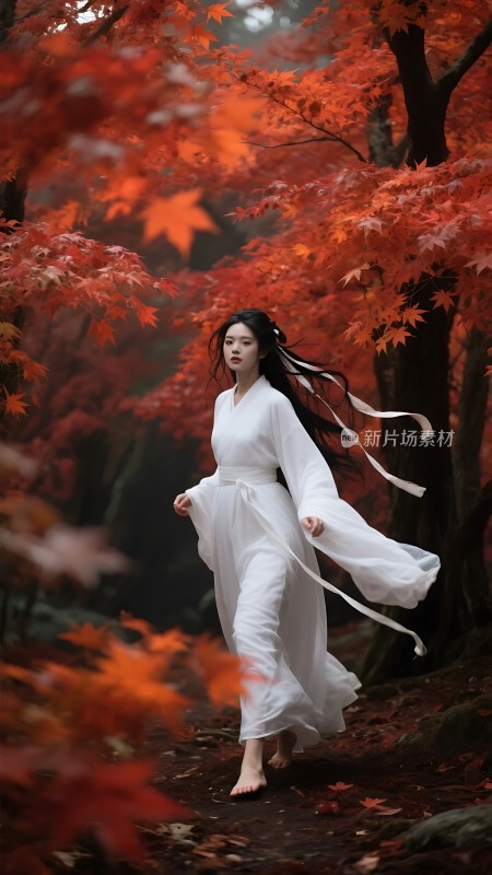 秋林漫步 白衣佳人