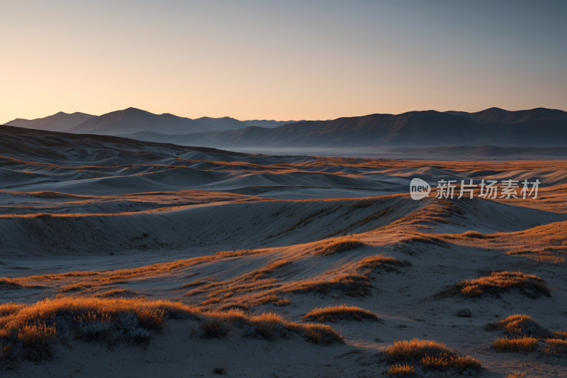 山上地面上有几棵草高清风景图片