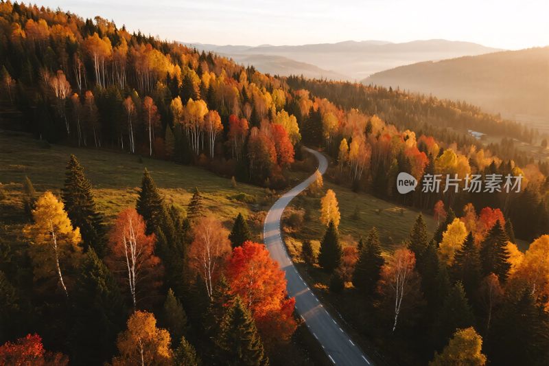 秋日山间蜿蜒公路美景
