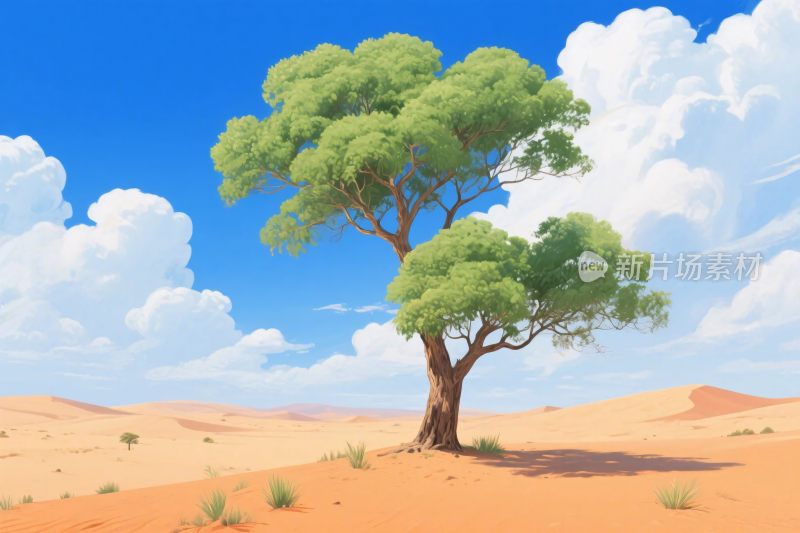 沙漠孤树风景插画