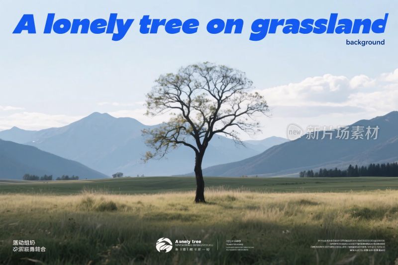 草地中的孤独树
