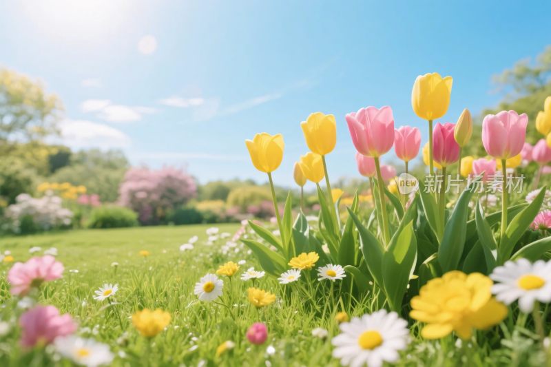 春日花草风景图