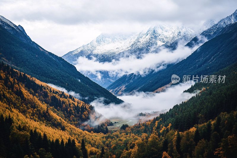 山间云雾缭绕的秋日美景