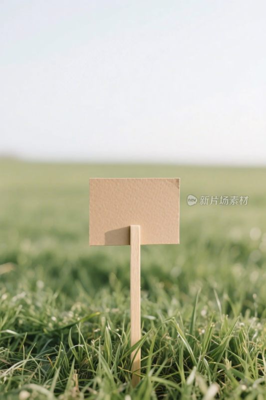 草地木牌标识场景