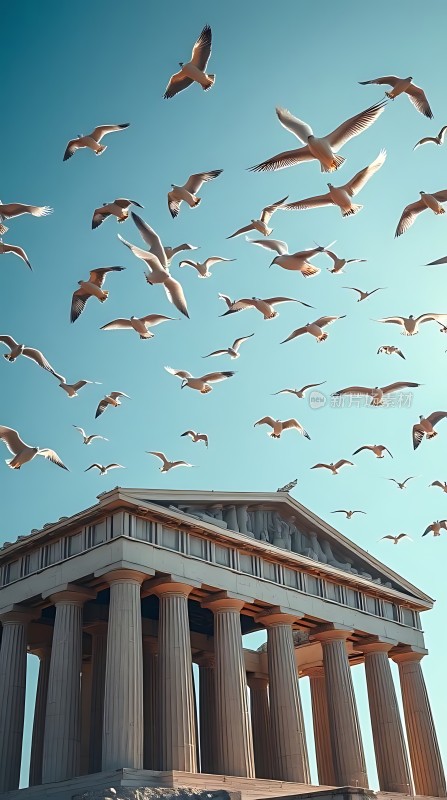 飞翔的海鸥与古希腊建筑