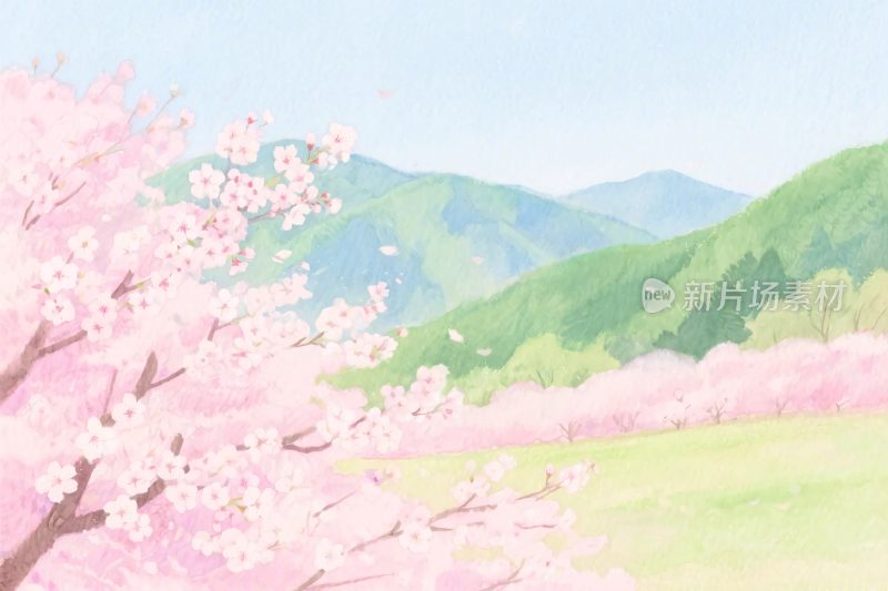 春日樱花山水插画