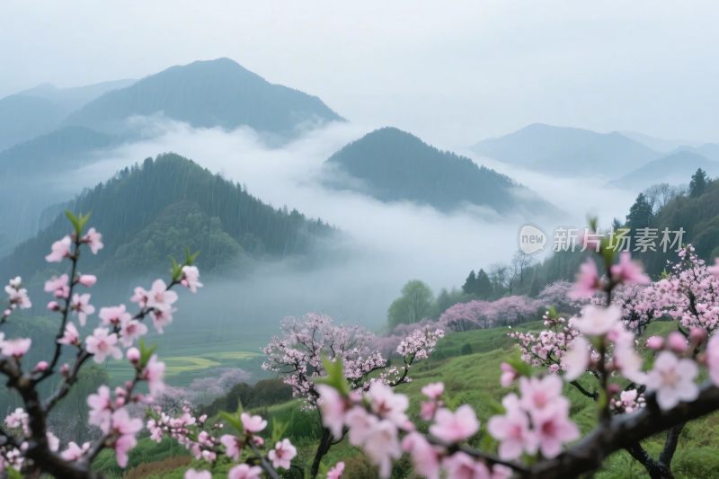 山水桃花云雾景