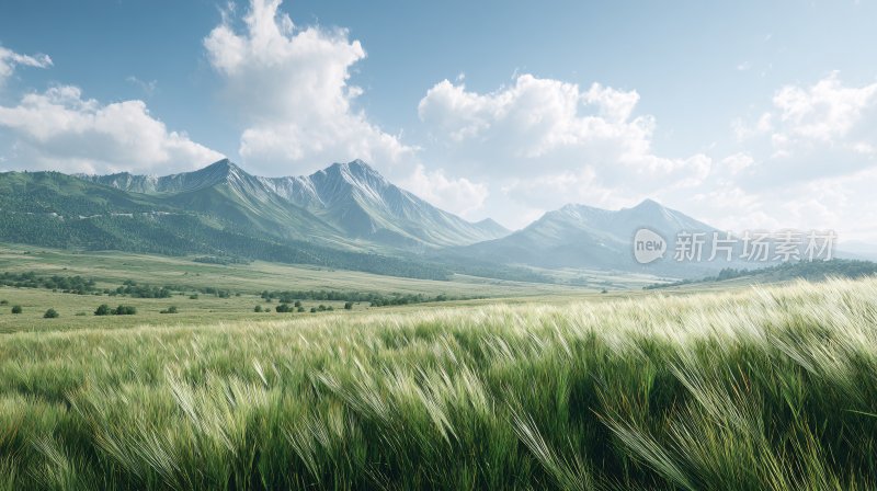 广袤草原与远山的自然美景