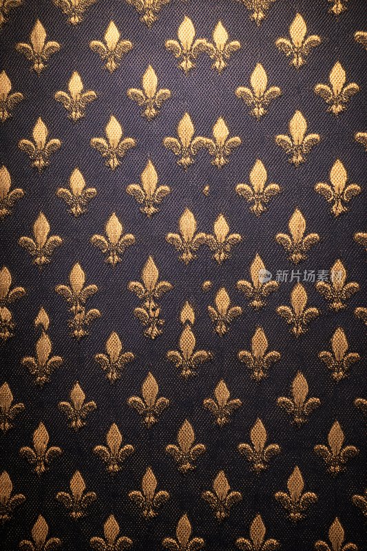 黑金鸢尾花纹样背景图