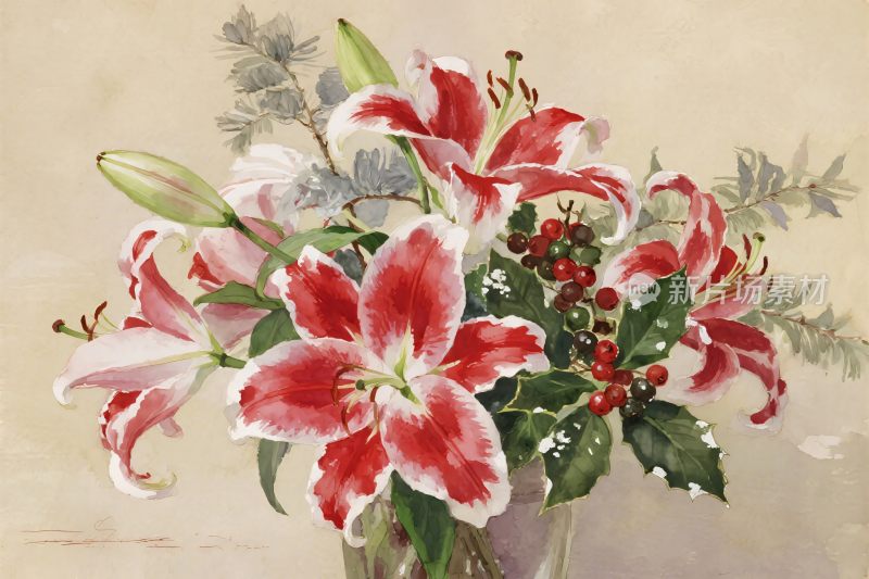 百合花与浆果插画